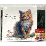 限定 ぺんてる クレヨン ART CRAYON アートクレヨン セット 16色 ヨドバシカメラ限定 スケッチブック付き PTAC-16YSB