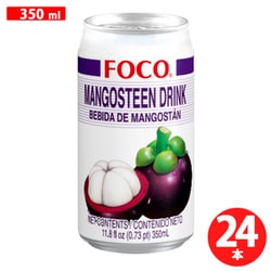 マンゴスチン 350ml×24本