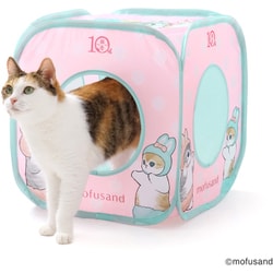 ★専用★ ねこまなてぃ☀️ まねき猫 ミッドナイト | 商品詳細 | 高島屋オンラインストア