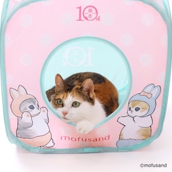 ★専用★ ねこまなてぃ☀️ 猫魔なな🐈‍⬛ on X: 