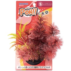 PON-S レッドブラッシュ