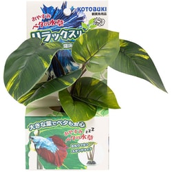 ベタの水草 スタンドタイプ