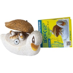 カルガモの親子 - KIKUのフォトルーム