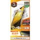 iPhone 16e/14/13用 ガラスフィルム「GLASS PREMIUM FILM」全面保護 超透明 LN-ISS24FGF