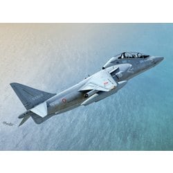 SWD 72100S 1/72 TAV-8B ハリアーII [組立式プラスチックモデル]