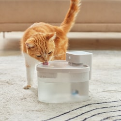 新品未使用　リヴィーズ ペット自動給水器 温水給水器　pwf-011wb　犬猫 ヨドバシ.com - リヴィーズ livease Pet用適温自動給水器 PWF