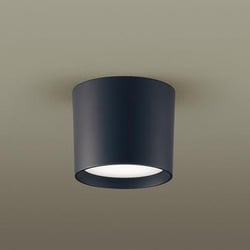 天井直付型 LED ダウンシーリング ブラック LGB58101
