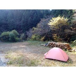 ヨドバシ.com - ライペン RIPEN 60周年記念 エアライズ2 「鴇色