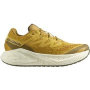 AERO GLIDE 3 GRVL メンズ ランニングシューズ SPICY MUSTARD/VANILLA ICE/DEEP LICHEN GREEN 26cm L47812000