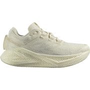 AERO GLIDE 3 レディース ランニングシューズ VANILLA ICE/VANILLA ICE/ALMOND MILK 23cm L47759700