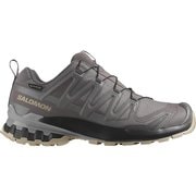 エックスエー プロ 3D V9 ゴアテックス レディース ハイキングシューズ PLUM KITTEN/BLACK/GULL 22.5cm L47744500
