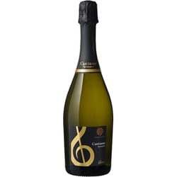 メルシャン・ワインズ カンティアーモ スプマンテ ブリュット 750ml [スパークリングワイン]