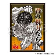 「刃牙」シリーズ イラストスリーブNT トリケラトプス拳 [トレーディングカード用品]