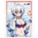 戦姫絶唱シンフォギアXV 描き下ろしスリーブ マリンセーラー水着 Ver. 雪音 クリス [トレーディングカード用品]