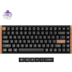 K2 HE スペシャルエディション マグネットスイッチ搭載 QMKワイヤレス・カスタムメカニカルキーボード RGB US配列（テンキーレス） ブラック / Gateron ダブルレール・マグネティックスイッチ Nebula（ホットスワップ） K2H-F1-US