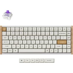 K2 HE スペシャルエディション マグネットスイッチ搭載 QMKワイヤレス・カスタムメカニカルキーボード RGB US配列（テンキーレス） ホワイト / Gateron ダブルレール・マグネティックスイッチ Nebula（ホットスワップ） K2H-Q1-US