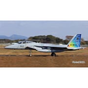 AC-99 1/72 航空自衛隊 F-15J イーグル 新田原基地 エアフェスタ 2024 航空自衛隊 70周年記念塗装機 [組立式プラスチックモデル]