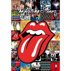 300-391 レジェンド・オブ・ロック THE ROLLING STONES /CHRONICLE [ジグソーパズル 300ピース]