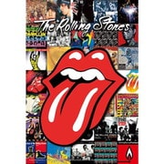 300-391 レジェンド・オブ・ロック THE ROLLING STONES /CHRONICLE [ジグソーパズル 300ピース]