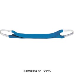 P100X5.0 [ベルトスリング（ハコイリ）]