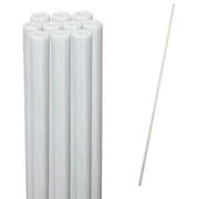 ファームエイジ グラファイポール10型900mm10本入り