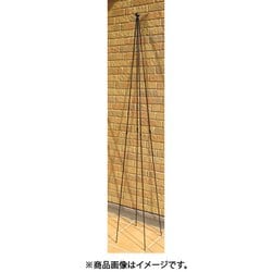 背の高いトピアリースタンド小 160H #148
