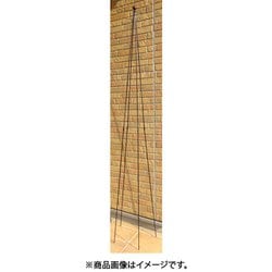 背の高いトピアリースタンド大 200H #149