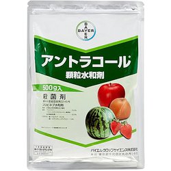 農薬 アントラコール顆粒水和剤 500g