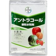 農薬 アントラコール顆粒水和剤 500g