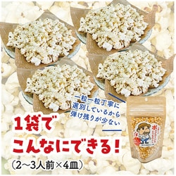佐渡島産 ポップコーン用とうもろこし 180g