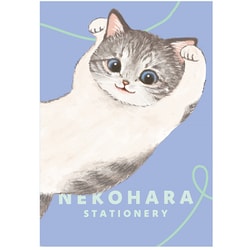 限定 B6ノート ねこハラ ブルー BD05021