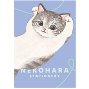 限定 B6ノート ねこハラ ブルー BD05021