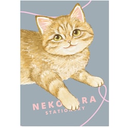 限定 B6ノート ねこハラ グレー BD05022