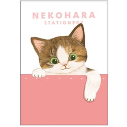 限定 B6ノート ねこハラ ピンク BD05023