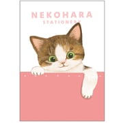 限定 B6ノート ねこハラ ピンク BD05023