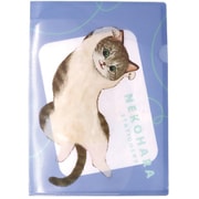 限定 A4ポケットファイル ねこハラ ブルー D06071