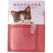 限定 A4ポケットファイル ねこハラ ピンク D06074