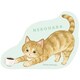 限定 ダイカットステッカー ねこハラ 茶トラ BM03565