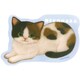 限定 ブックマーカー ねこハラ ブルー G03021