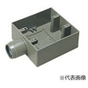 DM38422 [露出スイッチボックス 2コ用 1方出 呼び22 1個]