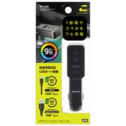 TP230 [2PD30W＋USBチャージャー ディレクション]