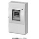 BEDB3503N [手元開閉器 ケースブレーカ（漏電保護用） スチールタイプ 標準形 屋内用 単体露出工事用 ED-50S型 3P3E 50A 1台]