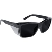 STKS420 BLACK GLOSS FRAME SMOKE LENS STK42N20A