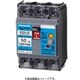 BJWA2603 [ボックス内取付用 漏電ブレーカ BJWA型（モータ保護兼用） BJWA-60型 2P2E 60A 30mA 1個]