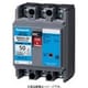 BBWA250 [盤用 サーキットブレーカ BBWA型 BBWA-50型 2P2E 50A 1個]