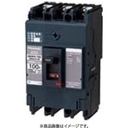 BBWA3601 [盤用 サーキットブレーカ BBWA型 BBWA-100型 3P3E 60A 1個]