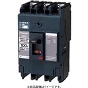 BBWA3100 [盤用 サーキットブレーカ BBWA型 BBWA-100型 3P3E 100A 1個]