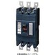 BBWA22501 [盤用 サーキットブレーカ BBWA型 BBWA-400型 2P2E 250A 1個]