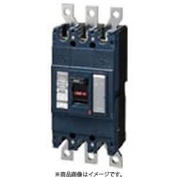 BBWA22501 [盤用 サーキットブレーカ BBWA型 BBWA-400型 2P2E 250A 1個]