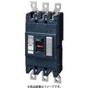 BBWA2300 [盤用 サーキットブレーカ BBWA型 BBWA-400型 2P2E 300A 1個]